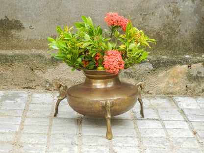 Vintage Brass Handi With 3 Peacock Stand